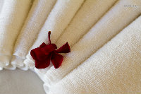 IMG_6724.jpg