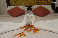 IMG_6797.jpg