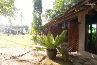 IMG_6857.jpg