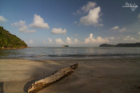 IMG_6861.jpg