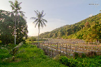 IMG_6900.jpg