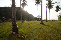 IMG_6930.jpg