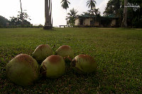 IMG_6931.jpg