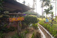 IMG_6948.jpg