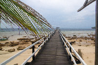 IMG_9140.jpg