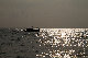 IMG_7430.jpg