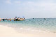 IMG_7431.jpg