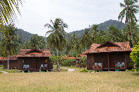 IMG_7307.jpg