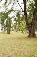 IMG_8188.jpg