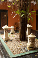 IMG_8976.jpg