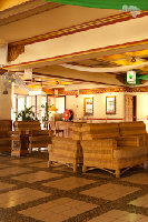 IMG_8465.jpg