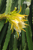 IMG_2865.jpg