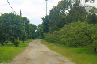 IMG_2873.jpg