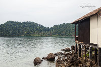 IMG_6594.jpg