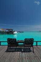 IMG_2632.jpg