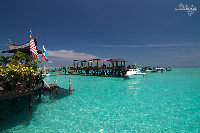 IMG_2636.jpg
