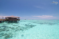 IMG_2639.jpg