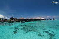 IMG_2644.jpg