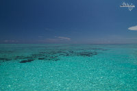 IMG_2648.jpg
