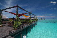 IMG_2653.jpg