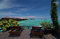 IMG_2659.jpg