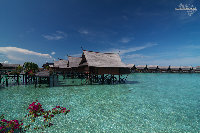 IMG_2854.jpg