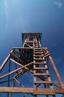 IMG_2856.jpg