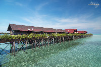IMG_2858.jpg