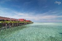 IMG_2859.jpg