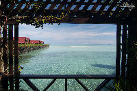 IMG_2860.jpg
