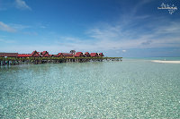 IMG_2865.jpg