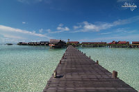 IMG_2866.jpg