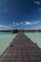 IMG_2867.jpg