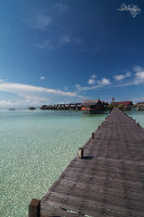 IMG_2868.jpg