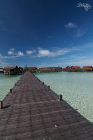 IMG_2869.jpg