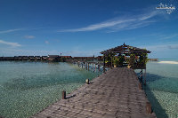 IMG_2969.jpg