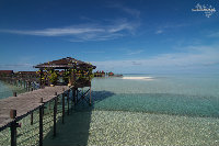 IMG_2970.jpg