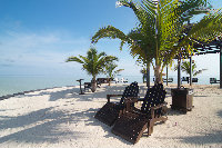 IMG_2974.jpg