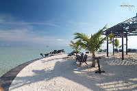 IMG_2978.jpg