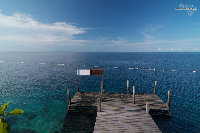 IMG_2988.jpg