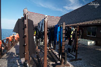 IMG_2989.jpg