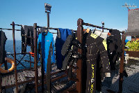 IMG_2990.jpg