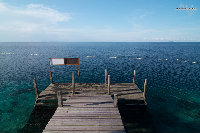 IMG_2996.jpg