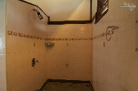IMG_3027.jpg