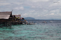 IMG_3060.jpg
