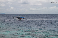 IMG_3061.jpg