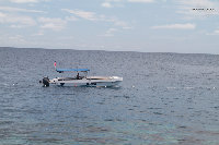 IMG_3062.jpg