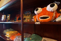 IMG_3092.jpg