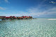 IMG_2865.jpg