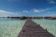 IMG_2866.jpg